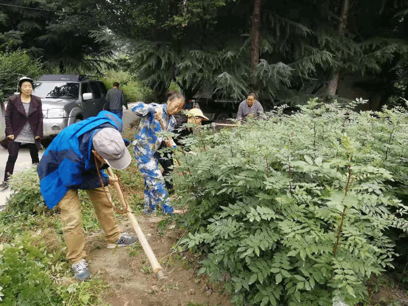 图片1_副本 图片1_副本